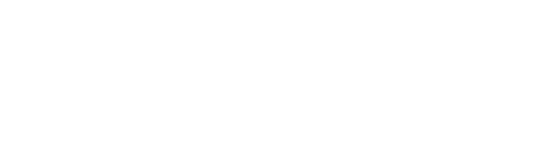 Smart Mobilreparation